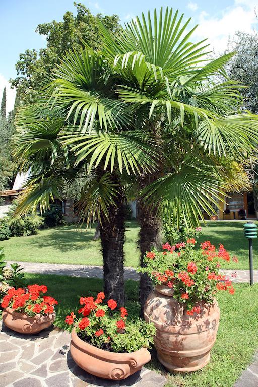 Hotel Sailing Center Malcesine Luaran gambar